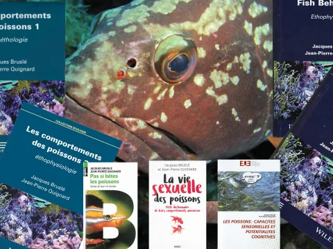 Ouvrages publiés par l'académie ou les académiciens
