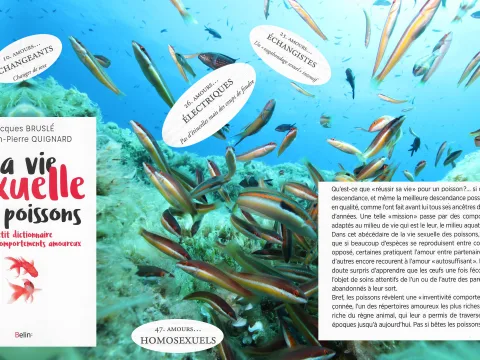 Ouvrages publiés par l'académie ou les académiciens